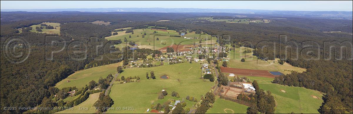 Peter Bellingham Photography Erica - VIC (PBH4 00 9430)